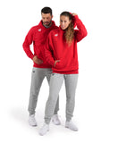 Arena Team Unisex Hooded Panel Sweatshirt - Red